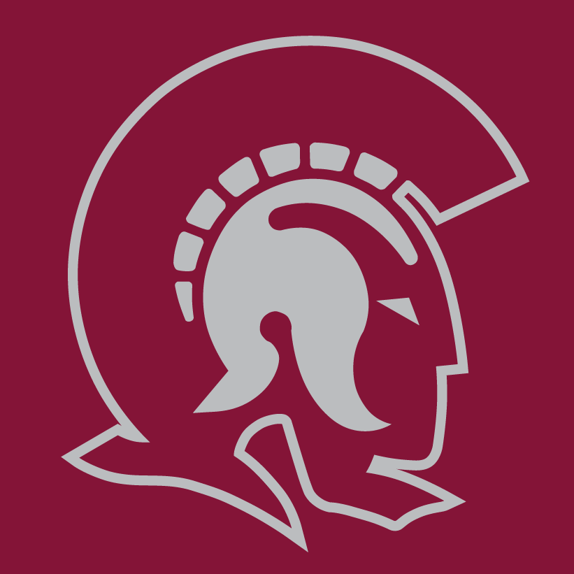 Arkansas-Little Rock Trojans 1997-Pres Alternate Logo v2 diy iron on heat transfer
